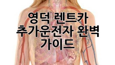 영덕 렌트카 추가운전자 완벽 가이드