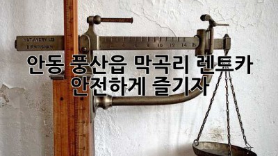 안동 풍산읍 막곡리 렌트카, 안전하게 즐기자!